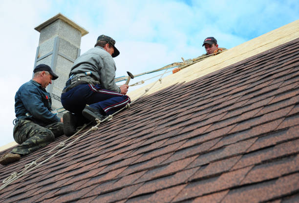 Best Storm Damage Roof Repair  in Westmere, NY